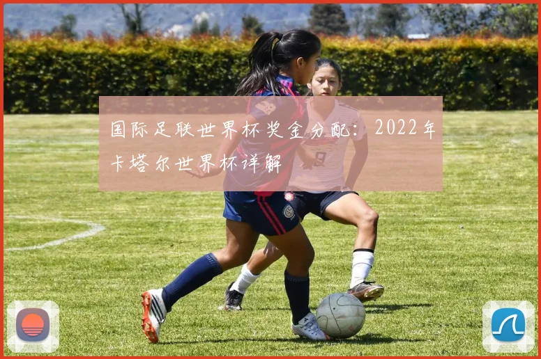 国际足联世界杯奖金分配：2022年卡塔尔世界杯详解