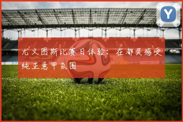 尤文图斯比赛日体验:在都灵感受纯正意甲氛围