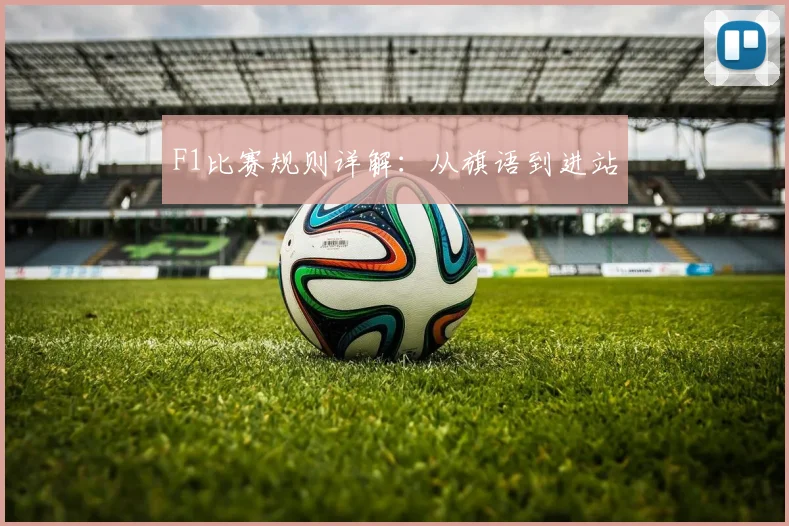 F1比赛规则详解：从旗语到进站