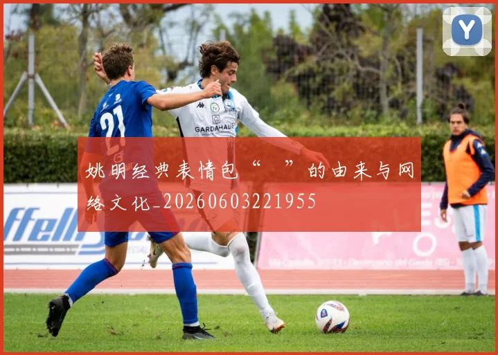 姚明经典表情包“囧”的由来与网络文化_20260603221955