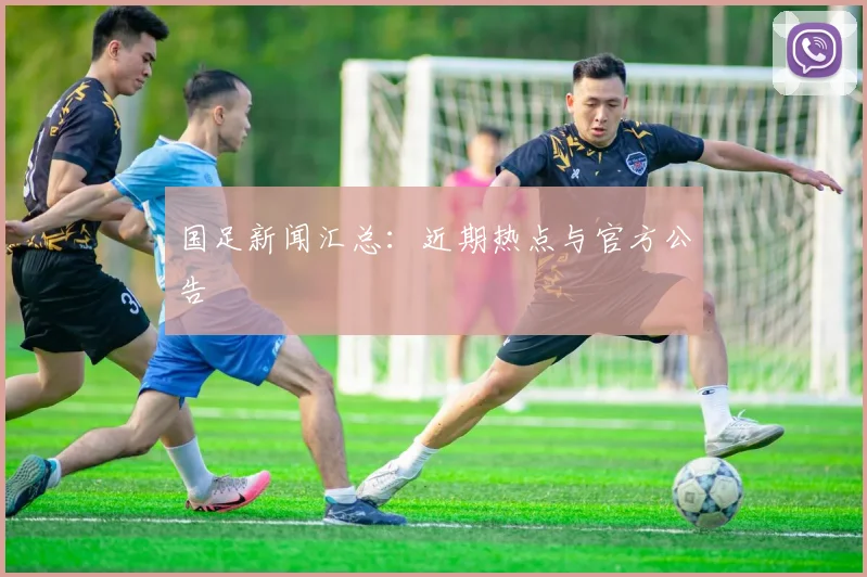 国足新闻汇总：近期热点与官方公告