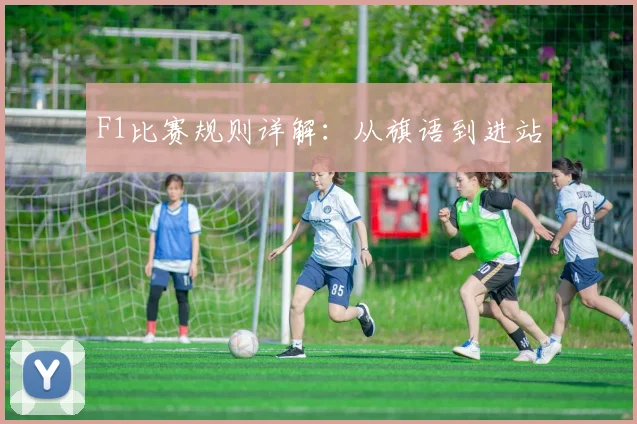 F1比赛规则详解：从旗语到进站